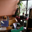 Den otc 2.6.2010